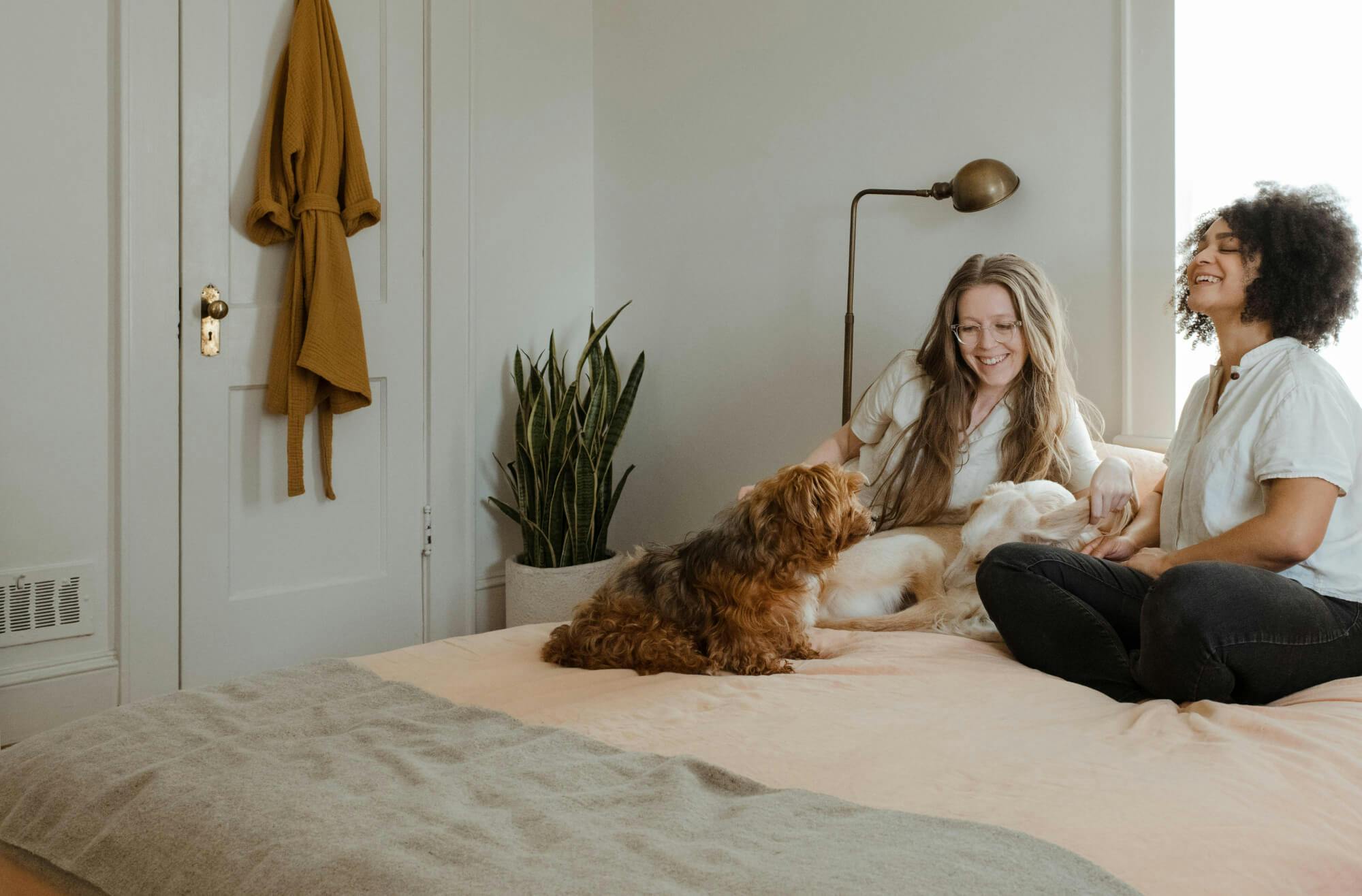 room air, clean and odorless, let’s you live a peaceful coexistence with your animal roommates.